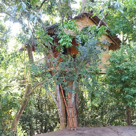 Willa Tree House-Midigama Weligama Zewnętrze zdjęcie