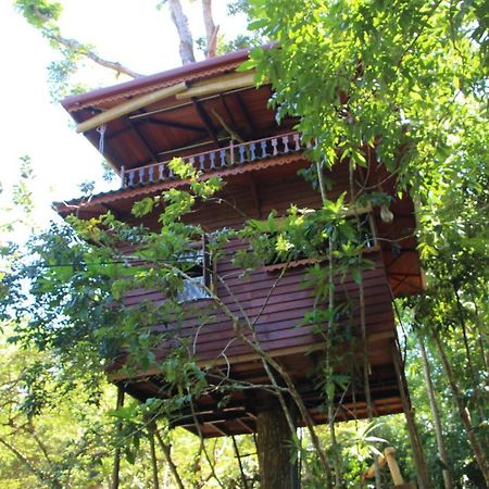 Willa Tree House-Midigama Weligama Zewnętrze zdjęcie