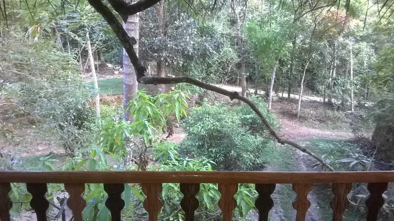 Willa Tree House-Midigama Weligama Zewnętrze zdjęcie