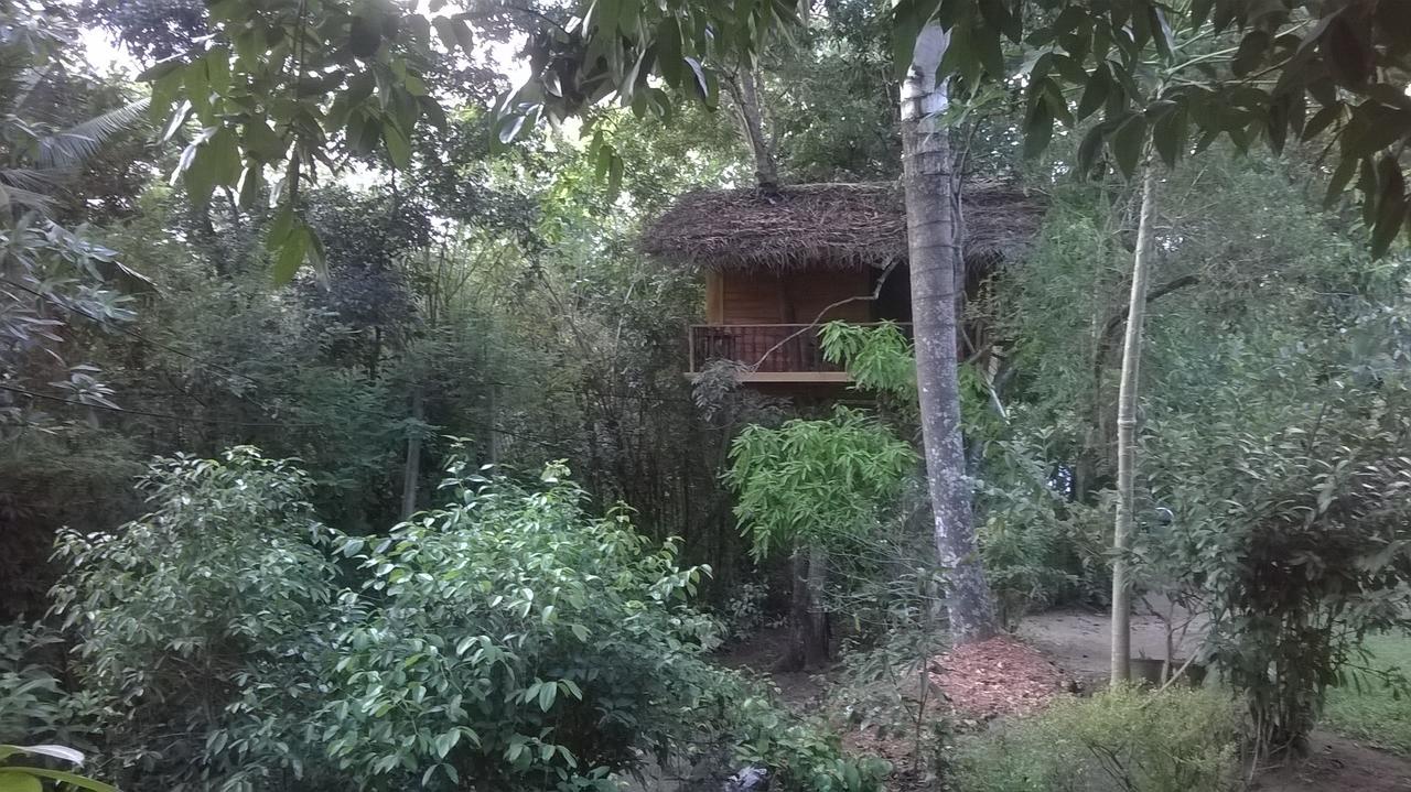 Willa Tree House-Midigama Weligama Zewnętrze zdjęcie