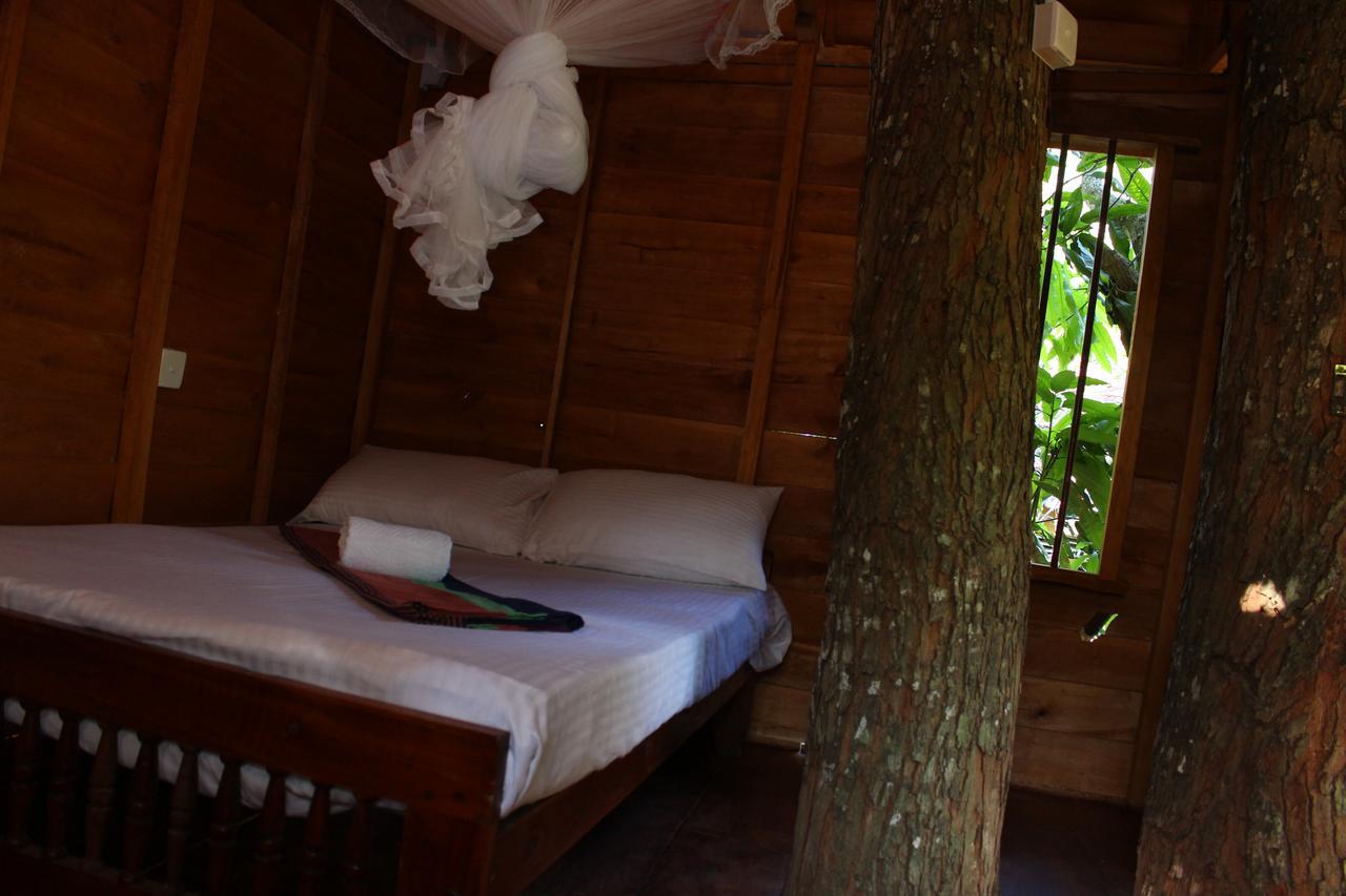 Willa Tree House-Midigama Weligama Zewnętrze zdjęcie