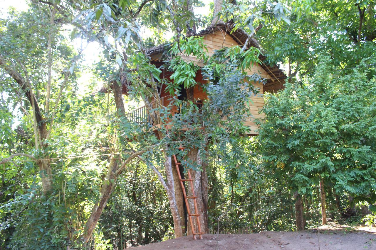Willa Tree House-Midigama Weligama Zewnętrze zdjęcie