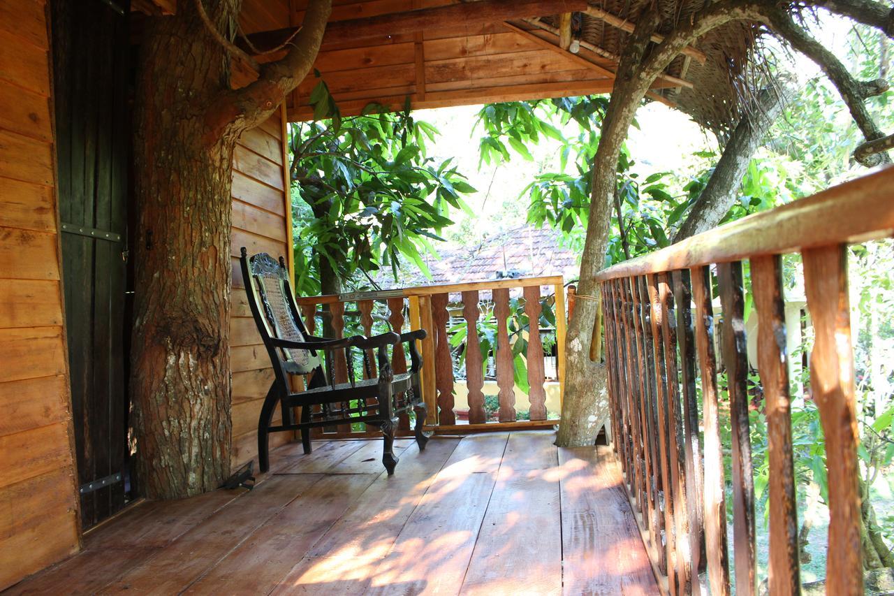 Willa Tree House-Midigama Weligama Zewnętrze zdjęcie