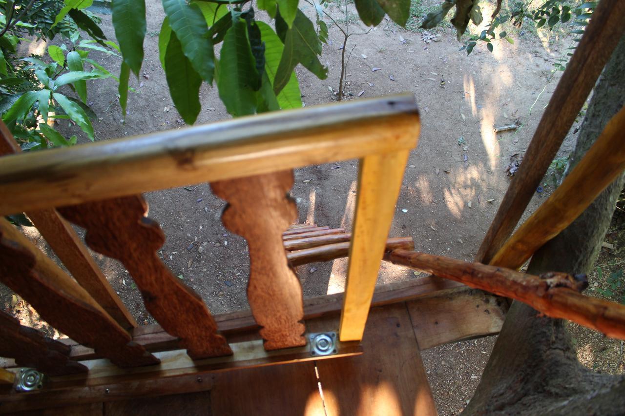 Willa Tree House-Midigama Weligama Zewnętrze zdjęcie