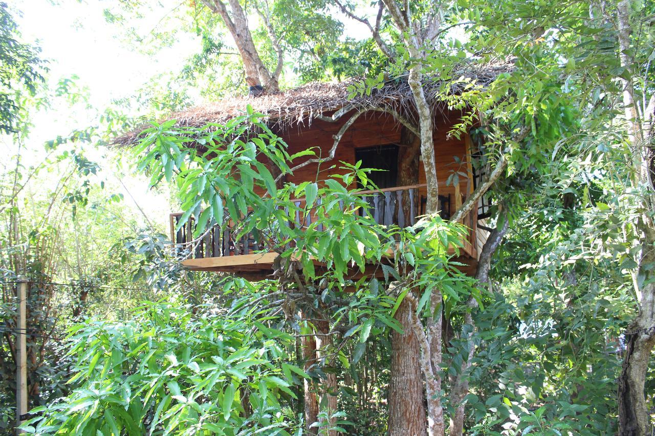 Willa Tree House-Midigama Weligama Zewnętrze zdjęcie