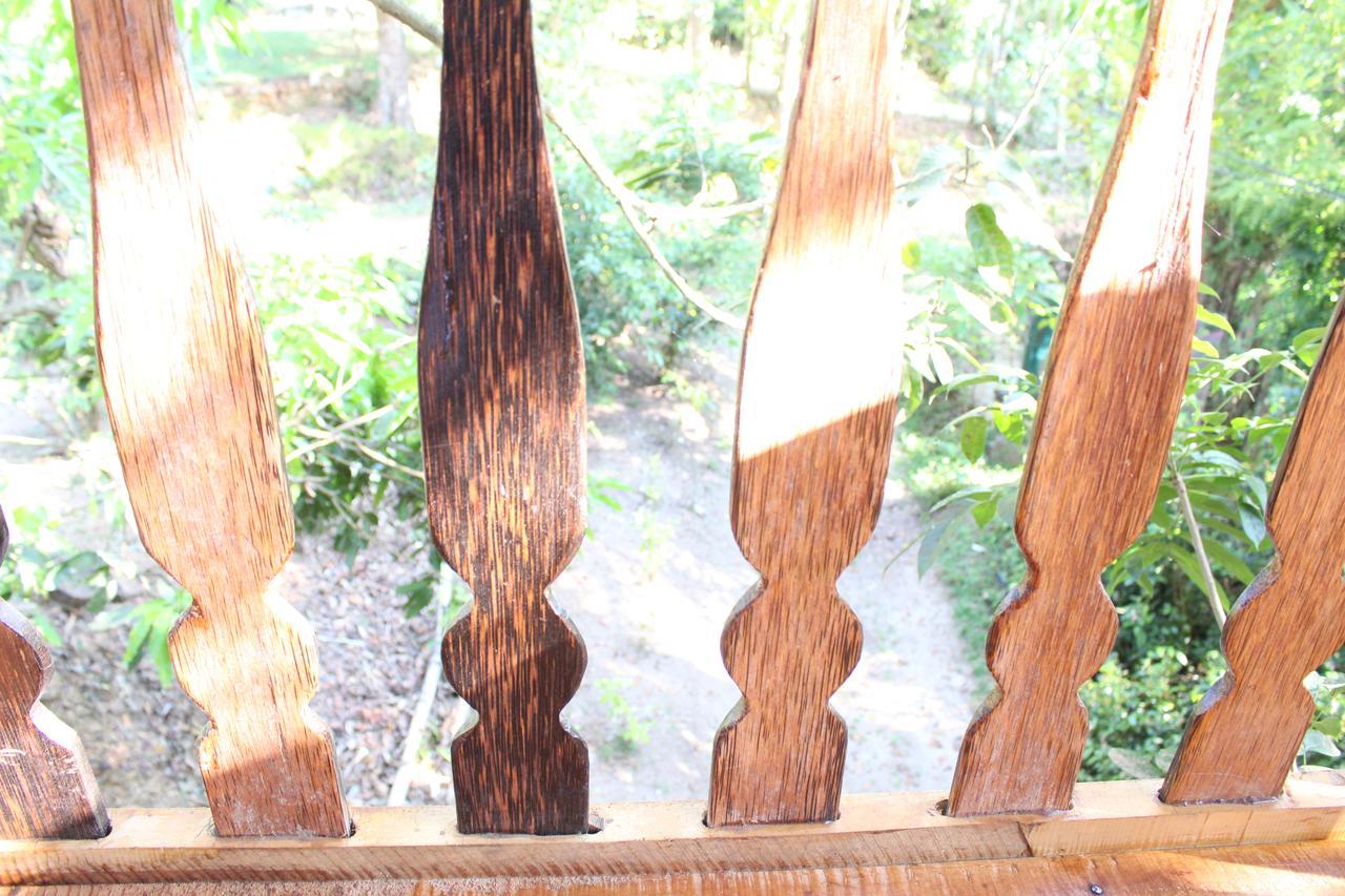 Willa Tree House-Midigama Weligama Zewnętrze zdjęcie