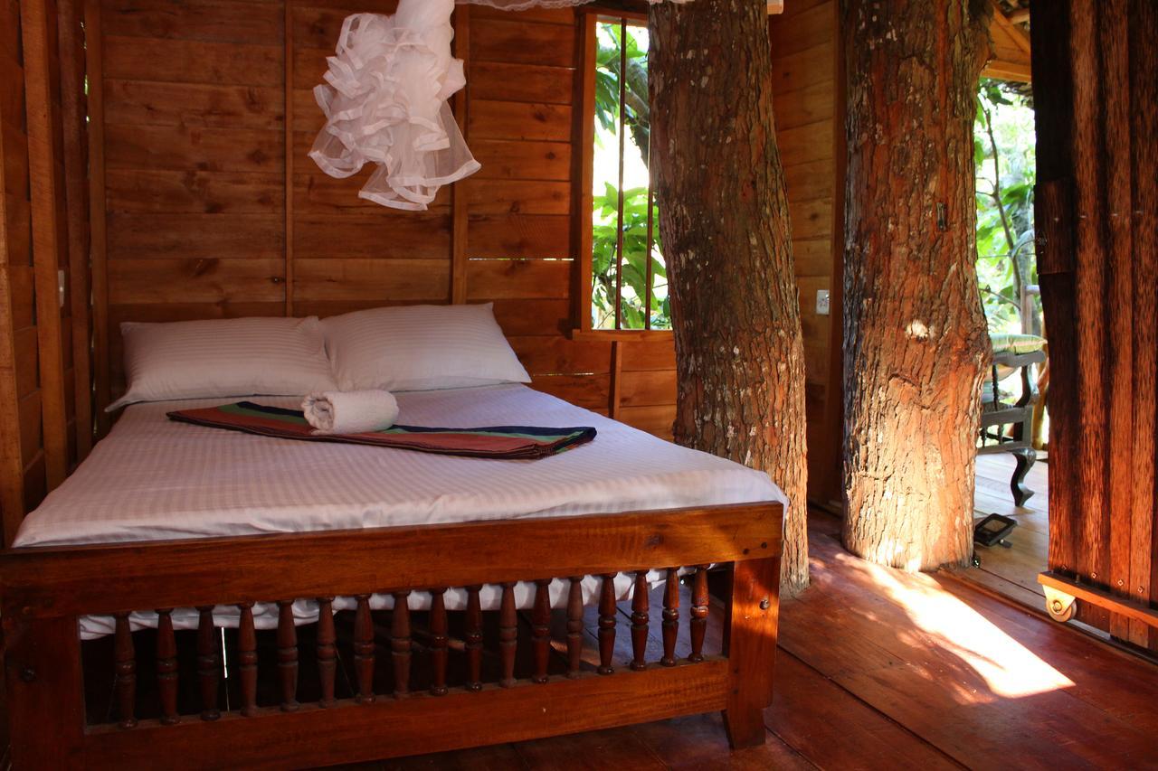 Willa Tree House-Midigama Weligama Zewnętrze zdjęcie