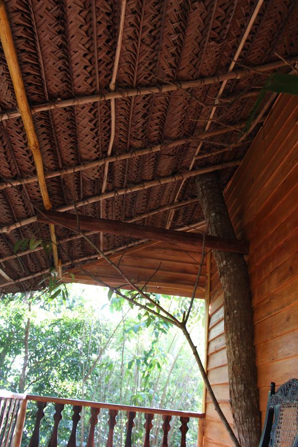 Willa Tree House-Midigama Weligama Zewnętrze zdjęcie