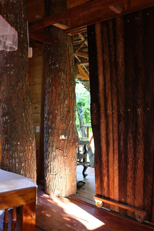 Willa Tree House-Midigama Weligama Zewnętrze zdjęcie