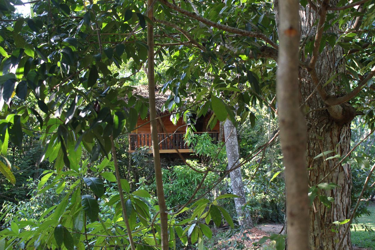Willa Tree House-Midigama Weligama Zewnętrze zdjęcie