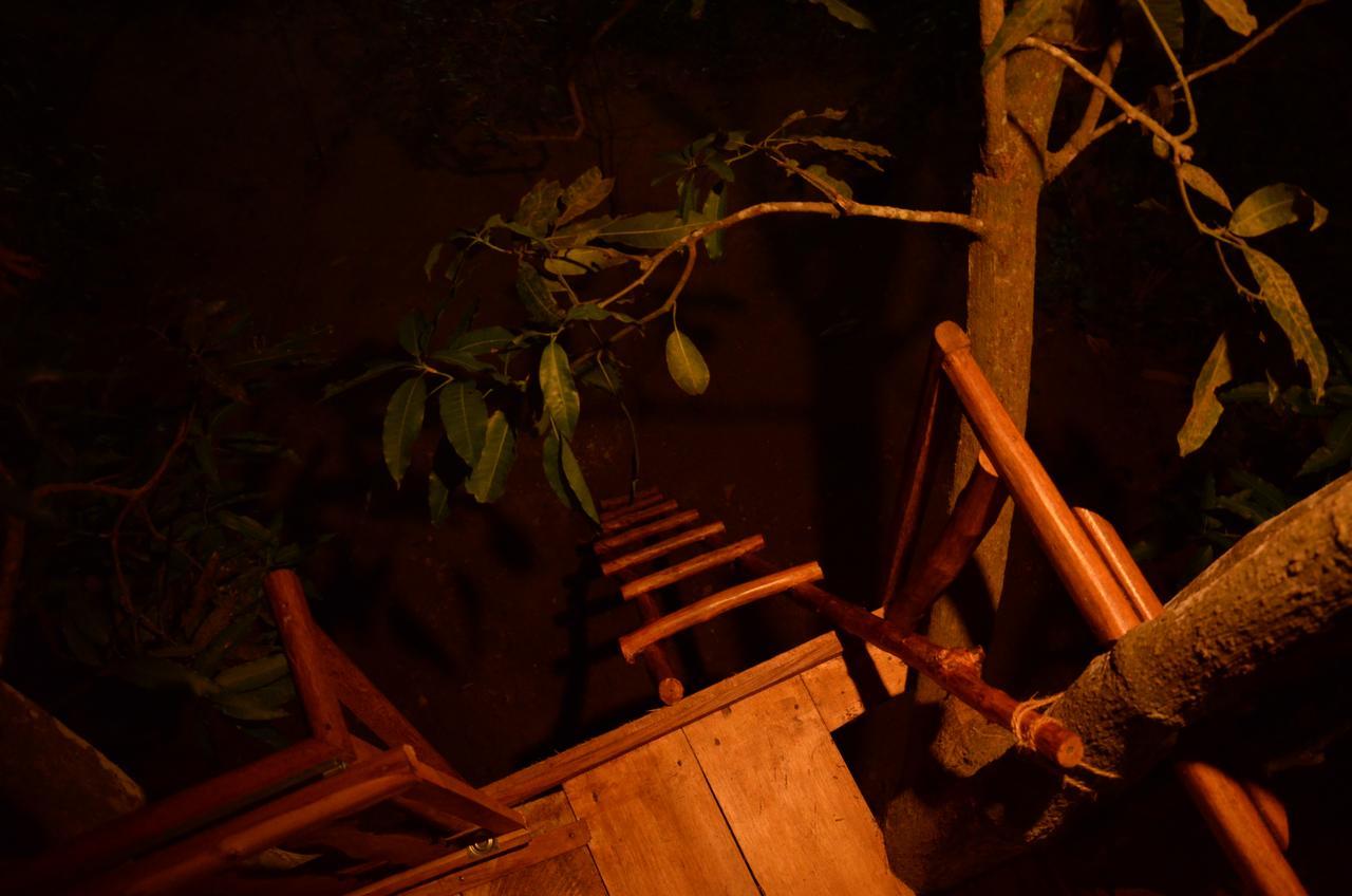 Willa Tree House-Midigama Weligama Zewnętrze zdjęcie