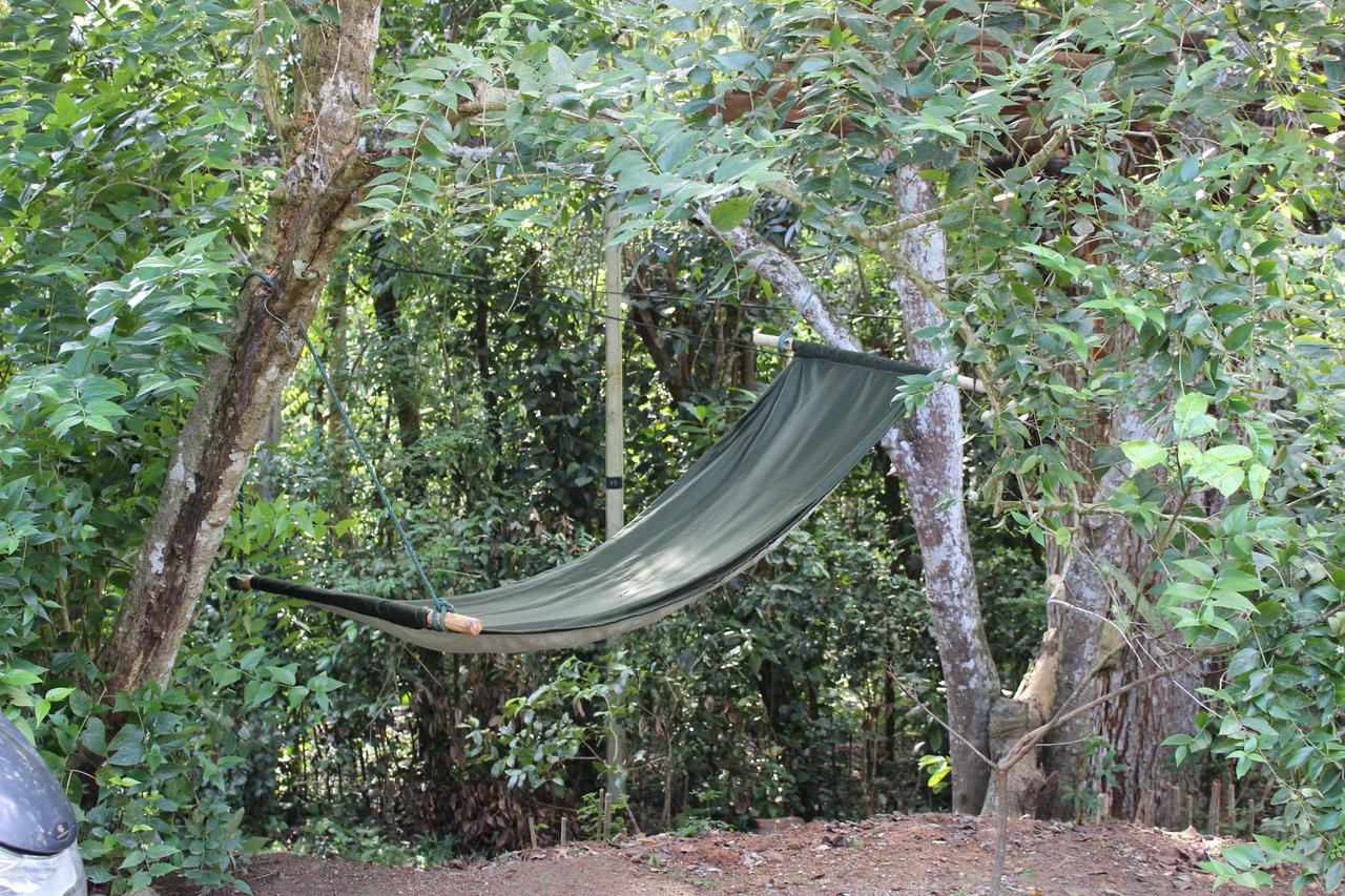 Willa Tree House-Midigama Weligama Zewnętrze zdjęcie