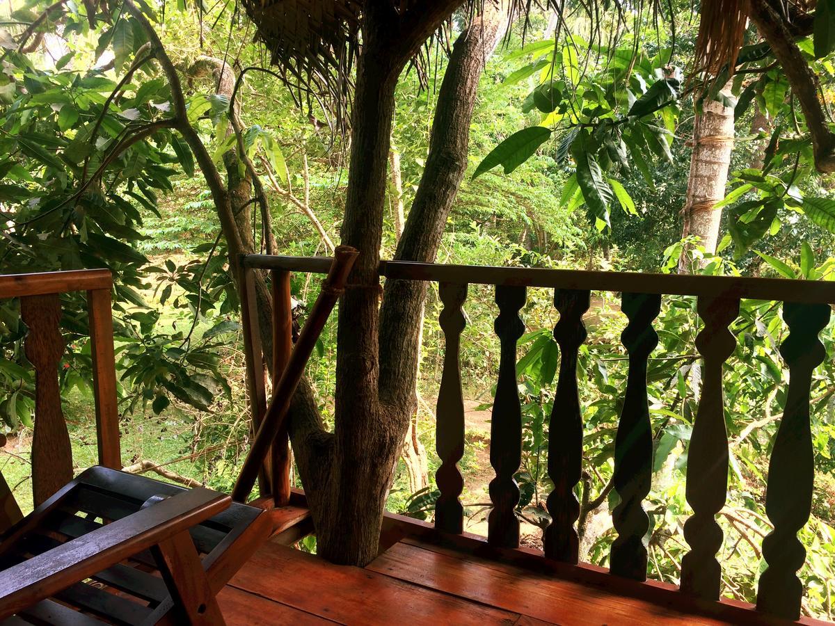Willa Tree House-Midigama Weligama Zewnętrze zdjęcie