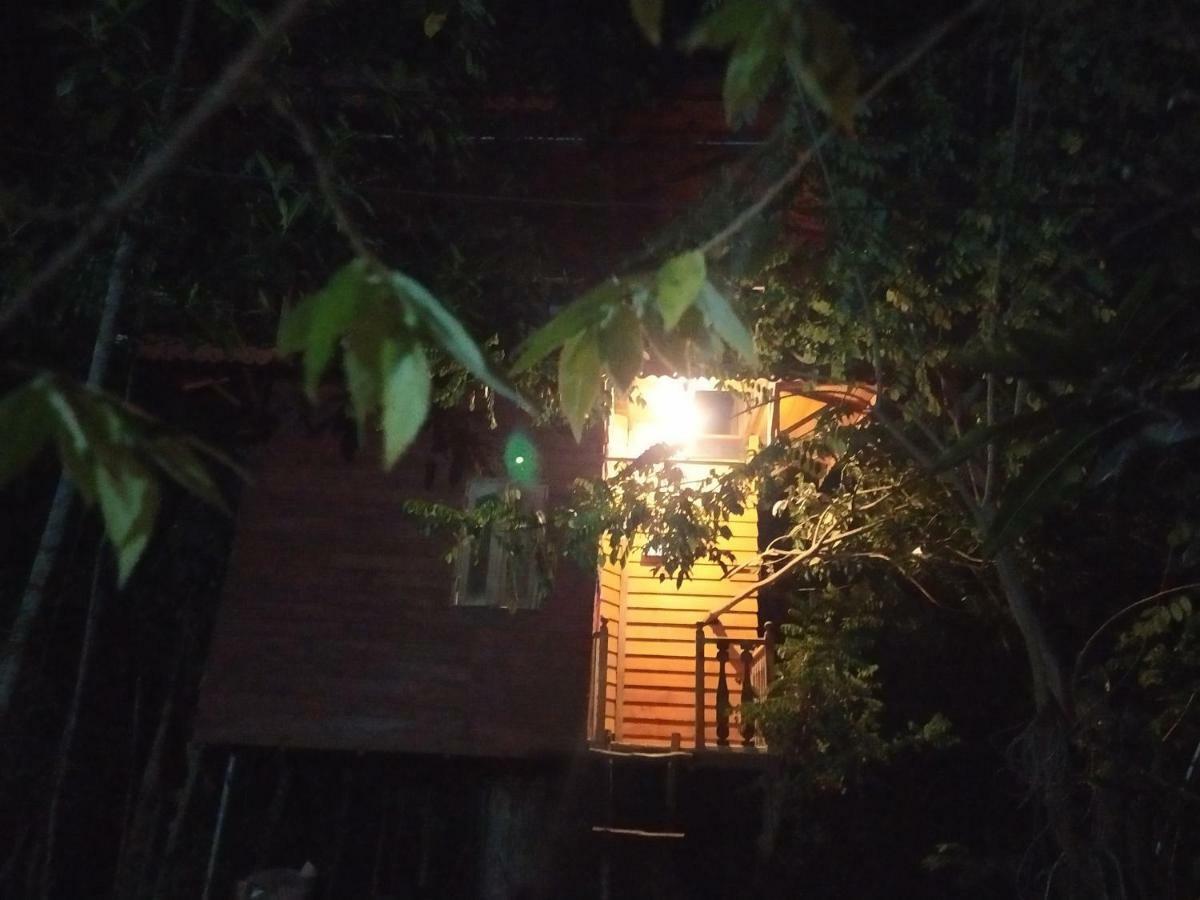 Willa Tree House-Midigama Weligama Zewnętrze zdjęcie