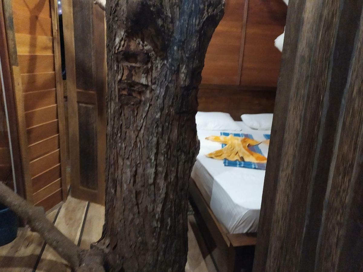 Willa Tree House-Midigama Weligama Zewnętrze zdjęcie
