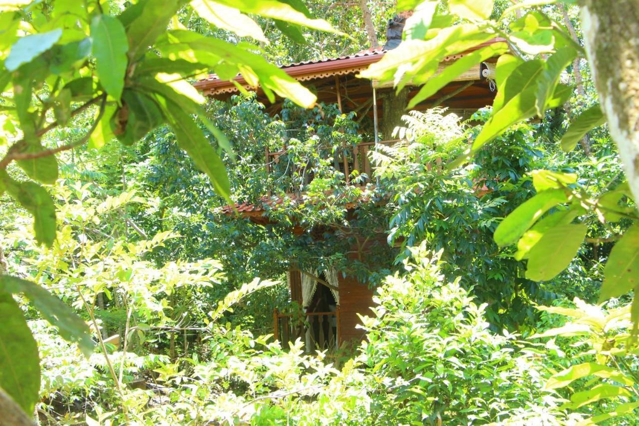 Willa Tree House-Midigama Weligama Zewnętrze zdjęcie