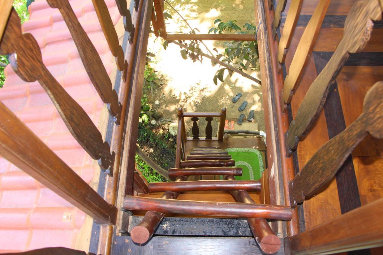 Willa Tree House-Midigama Weligama Zewnętrze zdjęcie