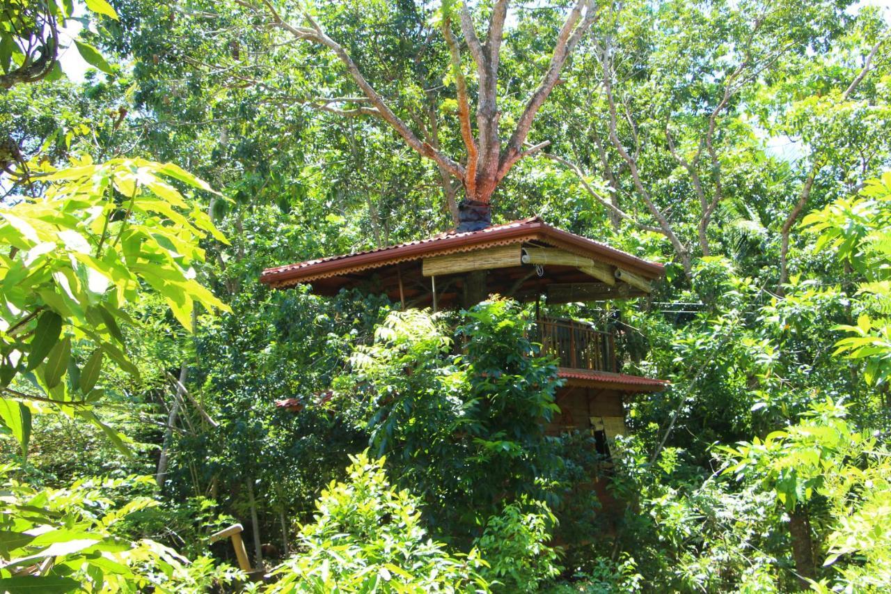 Willa Tree House-Midigama Weligama Zewnętrze zdjęcie