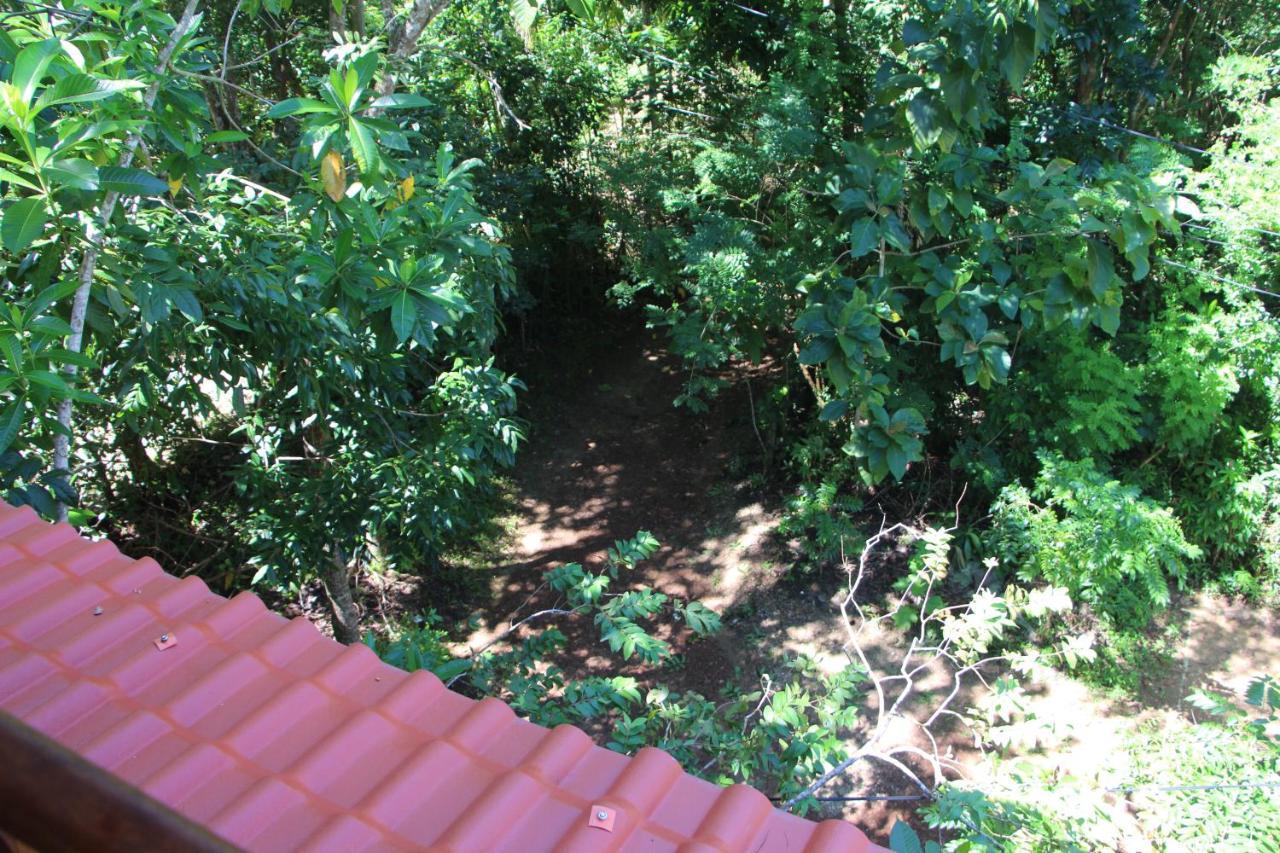 Willa Tree House-Midigama Weligama Zewnętrze zdjęcie