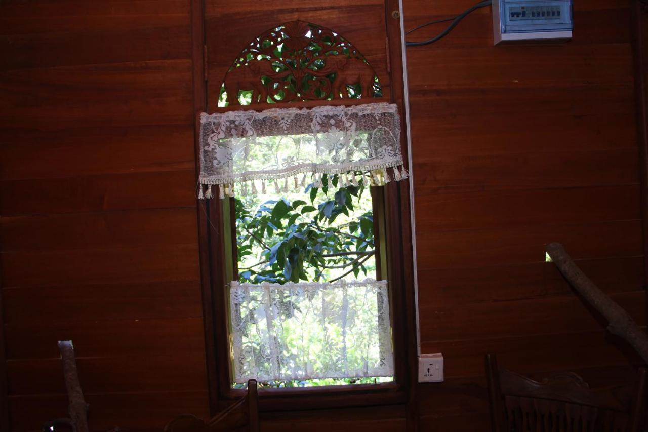 Willa Tree House-Midigama Weligama Zewnętrze zdjęcie