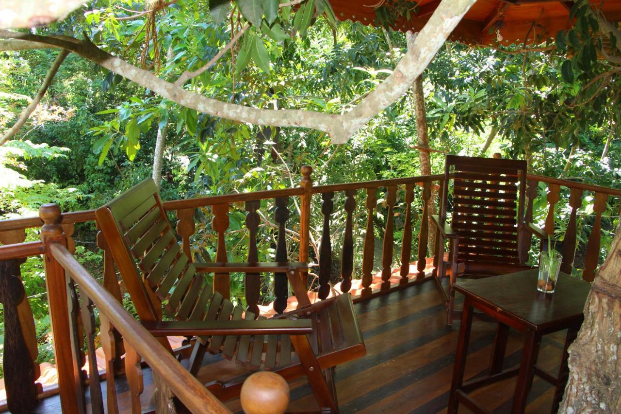 Willa Tree House-Midigama Weligama Zewnętrze zdjęcie