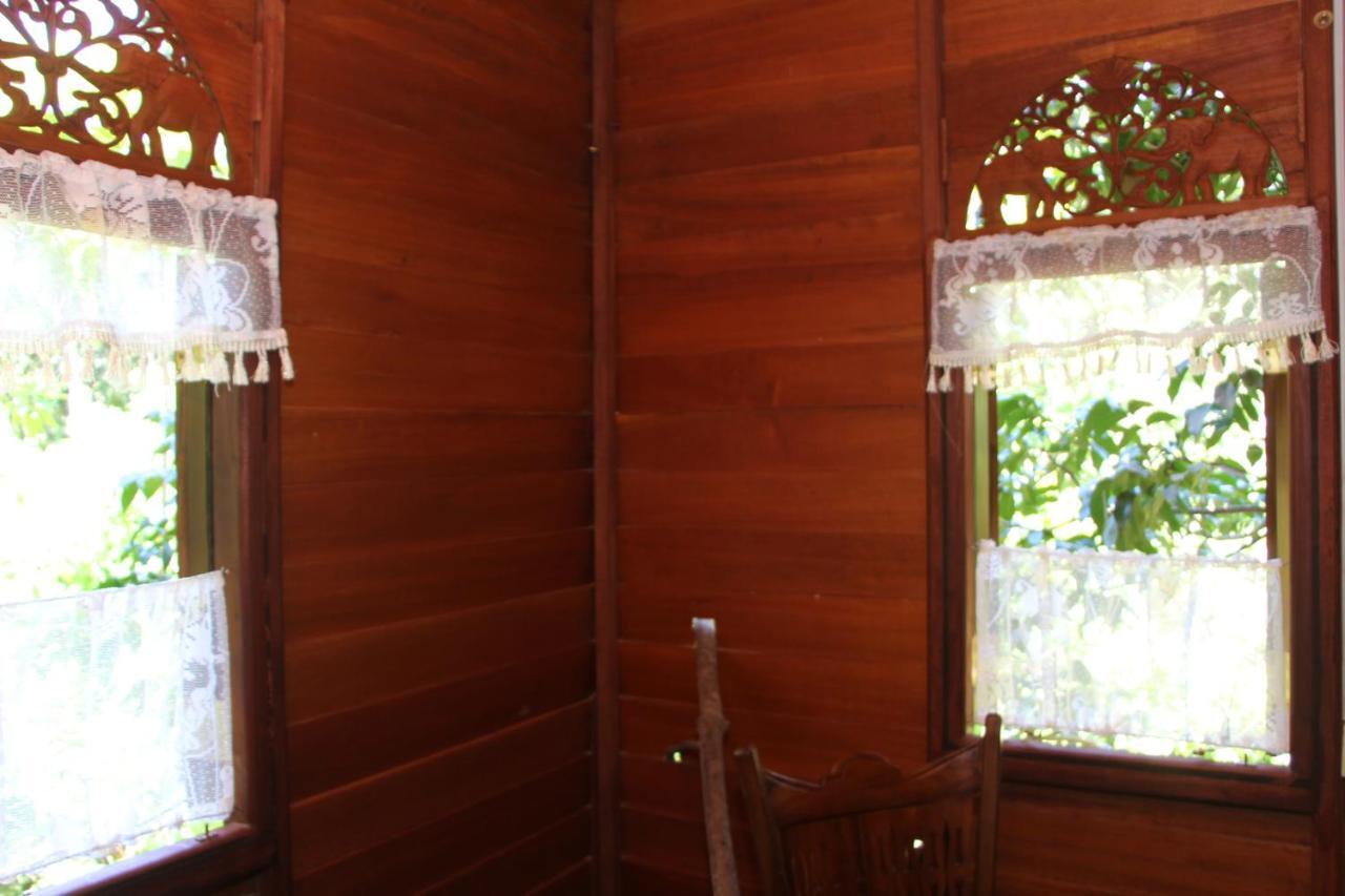Willa Tree House-Midigama Weligama Zewnętrze zdjęcie