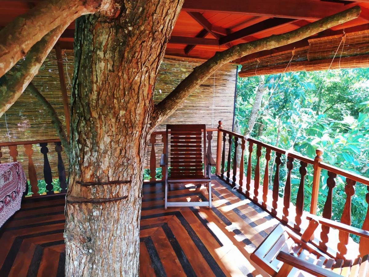 Willa Tree House-Midigama Weligama Zewnętrze zdjęcie