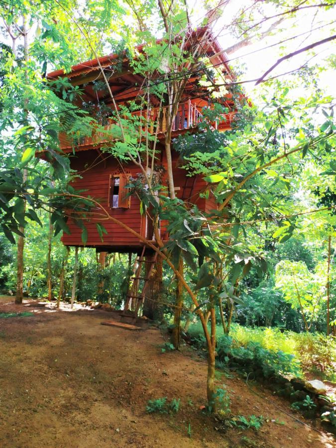 Willa Tree House-Midigama Weligama Zewnętrze zdjęcie