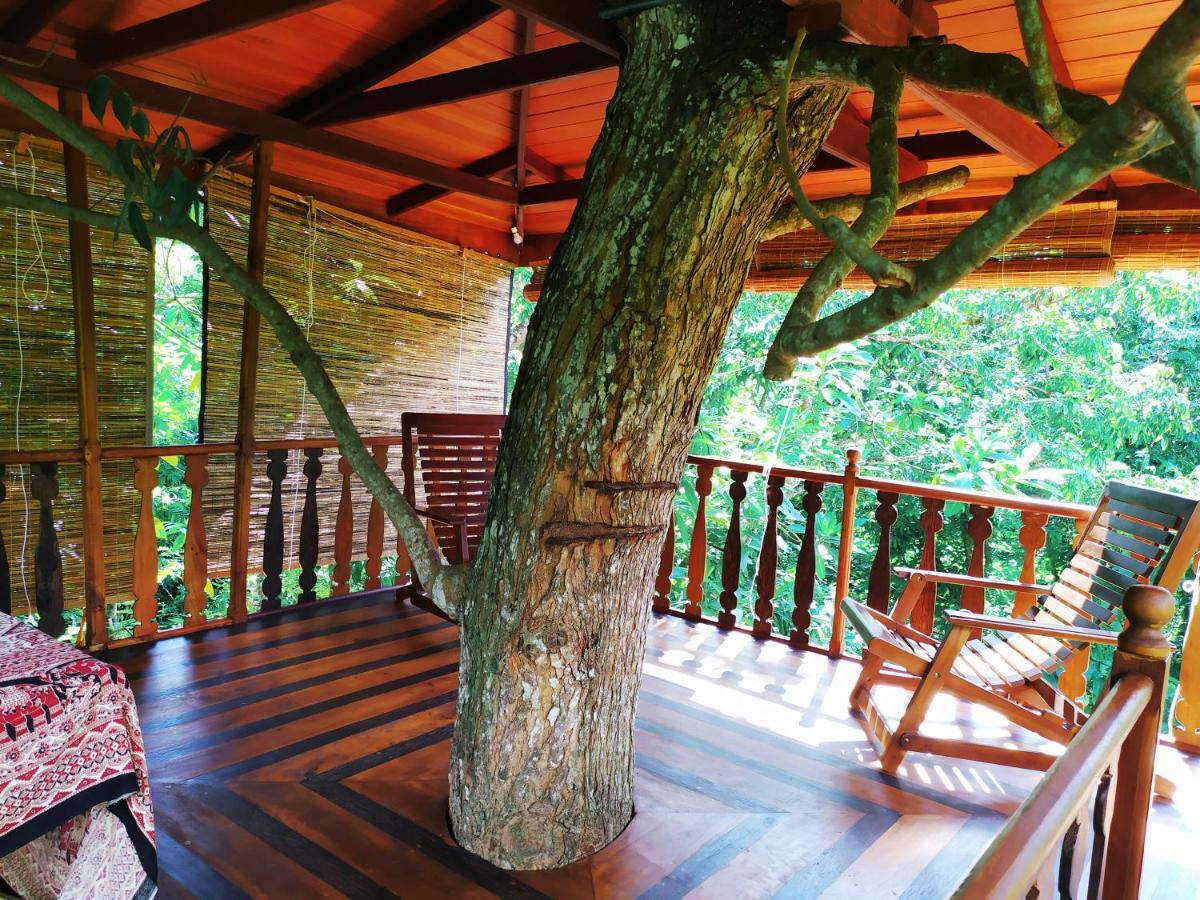 Willa Tree House-Midigama Weligama Zewnętrze zdjęcie